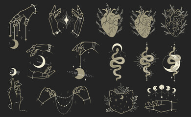 Big collection of different spiritual elements, hands with moon, human hearts, abstract snakes and cat face with plants. Vector art set