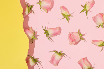 Spring romantic rose flower pattern on pastel pink background with yellow torn paper. 80s or 90s retro fashion aesthetic bloom concept. Minimal romantic Valentines day, Mothers day or women day idea.
