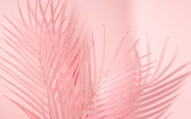 Summer aesthetic layout with pink palm leaves on pastel pink background. 80s or 90s retro idea....