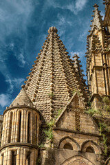 Detail of a dome of the cathedral of Plasencia, Cáceres, Spain with plateresque decoration