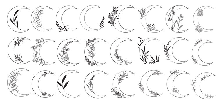 Big collection of moon with wild flowers, minimalistic line vector art