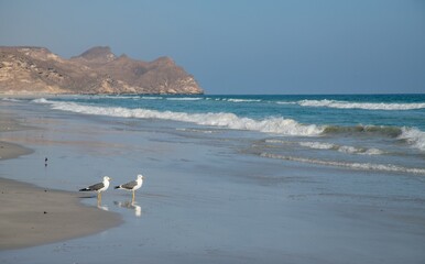 Fototapeta na wymiar Al Mughsail Beach, Salalah, Sultanate of Oman