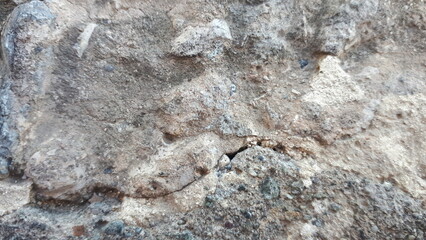 Background. Old concrete. Stones in concrete