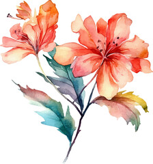 painting flower illustration