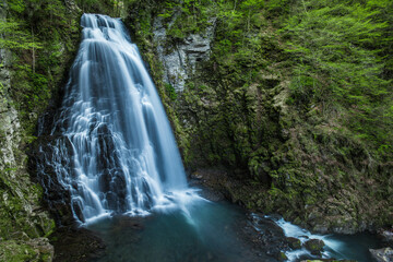 乗鞍岳山麓の滝と新緑