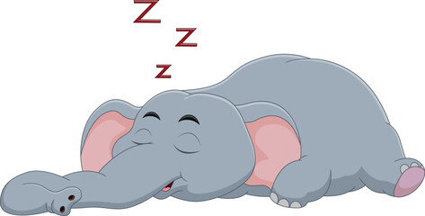 cute baby elephant sleeping