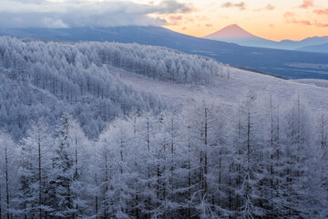 長野県霧ケ峰高原からの朝焼けと富士山3