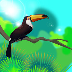 illustration tukan bird exotic tropic 