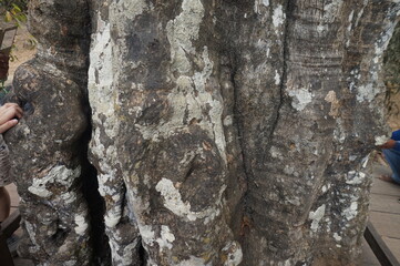 Angkor Wat, Cambodia. 1 April 2016