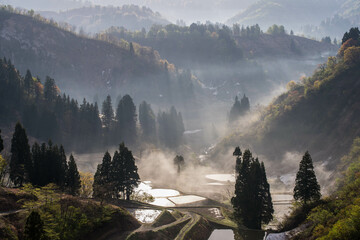 新潟県長岡市山古志の朝焼け　棚田