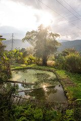 Fototapeta premium the countryside around Ninh Binh, Vietnam