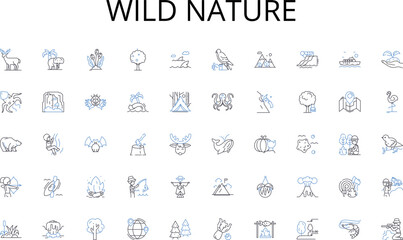 Wild nature line icons collection. Leadership, Vision, Strategy, Expertise, Innovation, Experience, Responsiveness vector and linear illustration. Accountability,Decision-making,Collaboration outline