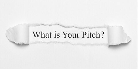 What Is Your Pitch?	