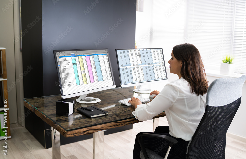 Poster Analyst Working With Spreadsheet Business Data