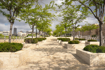Beautiful alley with trees in flower beds in jerusalem