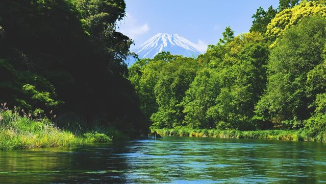 静岡県の駿東郡清水町を流れる清流柿田川と富士山