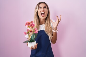 Young blonde woman wearing gardener apron holding plant crazy and mad shouting and yelling with aggressive expression and arms raised. frustration concept.