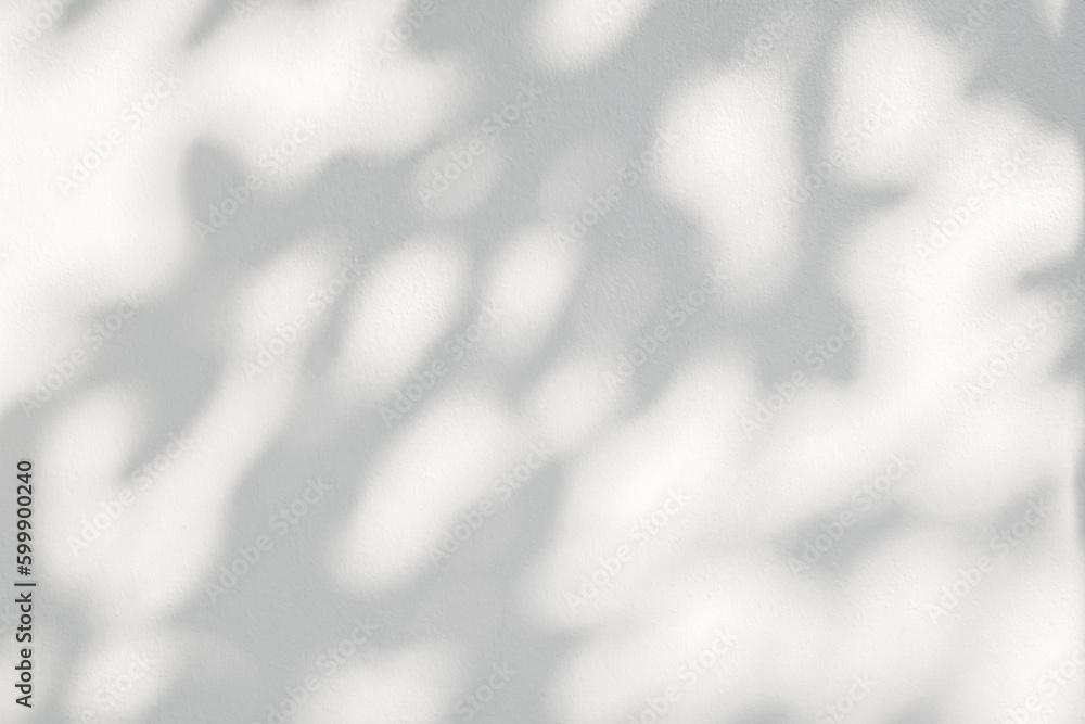 Poster light and shadow of leaf abstract grey background. natural shadows and sunshine diagonal refraction 
