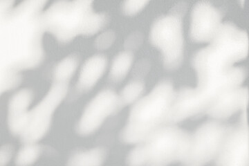 Light and shadow of leaf abstract grey background. Natural shadows and sunshine diagonal refraction on white concrete wall texture. Shadow overlay effect for foliage mockup, banner graphic layout