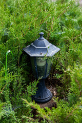 old lantern in the garden