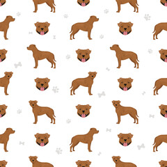 Staffordshire bull terrier seamless pattern