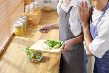 Closeup LGBT gay couple cooking vegetables together in the kitchen