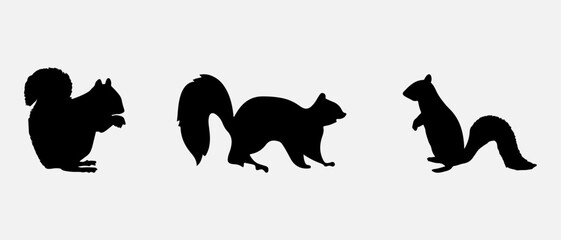 isolated black silhouette of a squirrel , vector collection
