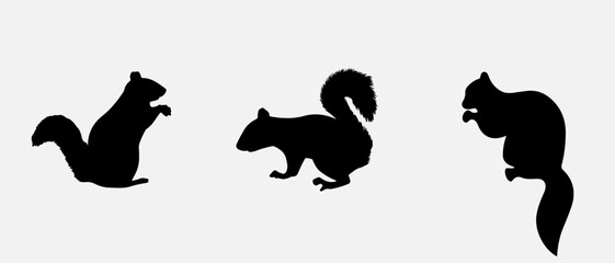 isolated black silhouette of a squirrel , vector collection