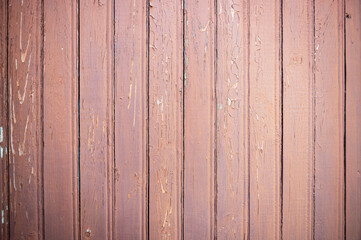 Abstract background of wood. Wooden background close up.