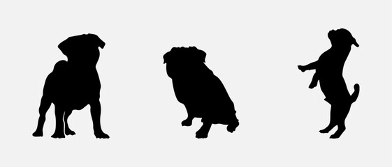 isolated black silhouette of a pug dog , vector collection