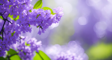 Obraz na płótnie Canvas Spring Purple flowers background, Generative AI 
