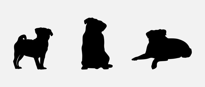 isolated black silhouette of a pug dog , vector collection