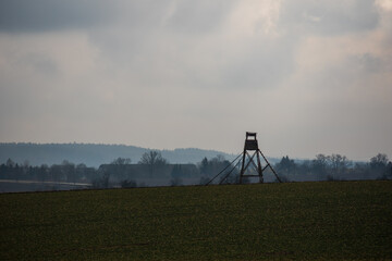 Naklejka premium in the field