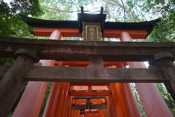 Fushimi-Inari Taisha, Kyoto, Japan. 24 Nov 2014