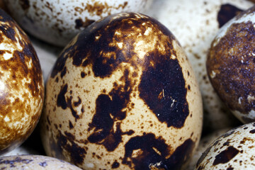 Quail eggs in a round wooden bowl on canvas, close-up, macro. Eggshell stains. Spotted pattern on the eggs. Dietary healthy foods. Egg