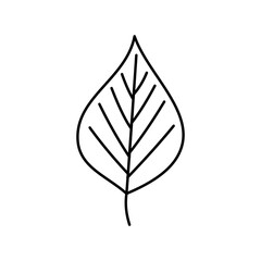 Leaf Outline Icon for Logo and More