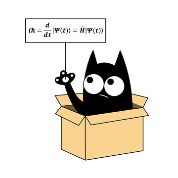 Black comic cat sitting in the box and holding placard with Schrodingers equation. Schrodingers thought experiment where the cat is both alive and dead funny concept. Vector illustration.