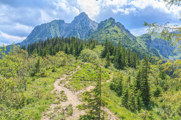 View of Mount Giewont from the red hiking trail from the Strążyska Valley (Tatra Mountains, Poland) on a sunny summer day. © IwoiWo