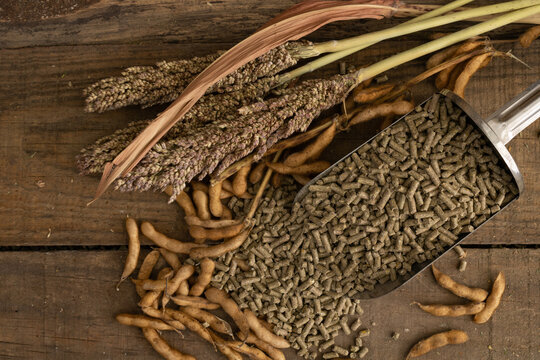 sorghum and soy based feed for pigs and chickens