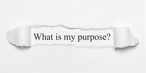 What is my purpose?	