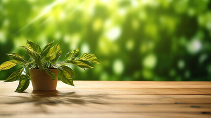 Obraz na płótnie Canvas Wood table green wall background with sunlight window create leaf shadow on wall with blur indoor green plant foreground. Generative Ai