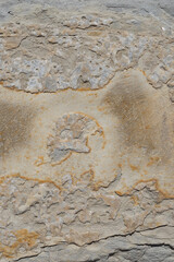 natural rough weathered beige rock texture abstract background