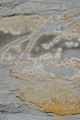 natural rough weathered beige gray rock texture abstract background