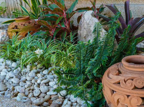 Ornamental garden with different plants, stones and ancient jugs, decor for the garden.
