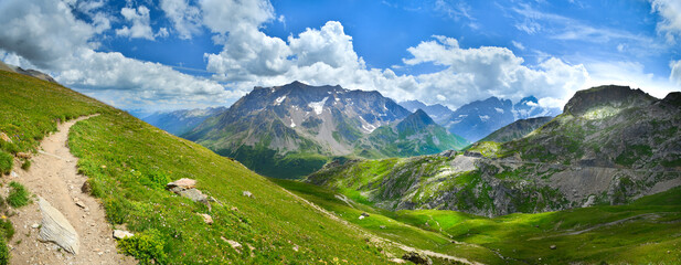 Green meadows in summer Alps - 599936477