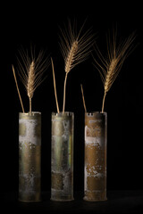 Front view of three anti-aircraft shells holding wheat
