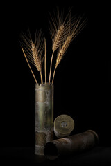 One anti-aircraft gun shell as vase for three wheat stalks