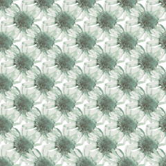 Seamless light green flower pattern with chrysanthemum flowers, design elements. grunge light green sunflower pattern used textile, fabric, wallpapers Jerusalem artichokes flower with white background