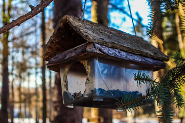 wooden bird house