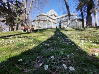 Glass palace with flowers garden